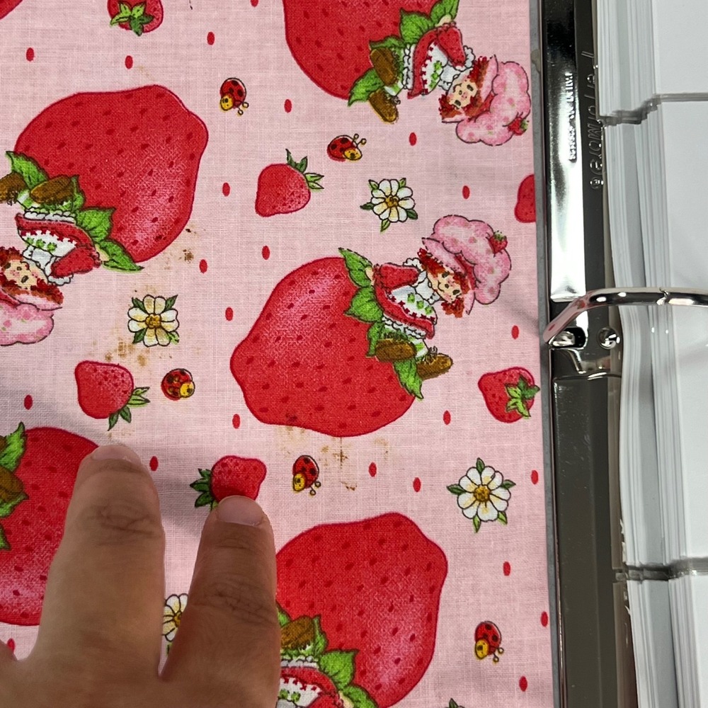 Handmade Strawberry Shortcake Fabric Photo Album 3-Ring Binder Eyelet Lace Pink - Picture 8 of 13
